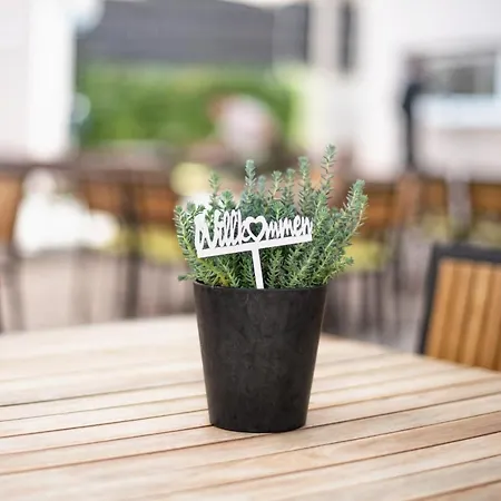 酒店 Hotel Kupferzell 4*